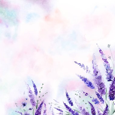 El boyalı suluboya açık mor lavanta çiçeklerinden yapılmış sınır ve izole bir illüstrasyon bırakıyor. Bahar ve yaz için mor kır çiçekleri romantik unsur çiçek düğün kırtasiyesi