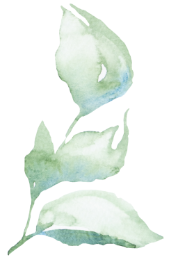 Açık yeşil bahçe yapraklı el yapımı suluboya dal. Bahar düğünü kırtasiyesi ve parti tasarımı için romantik pastel unsur. Aşk ve kutlama atmosferi 