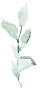 Açık yeşil bahçe yapraklı el yapımı suluboya dal. Bahar düğünü kırtasiyesi ve parti tasarımı için romantik pastel unsur. Aşk ve kutlama atmosferi 