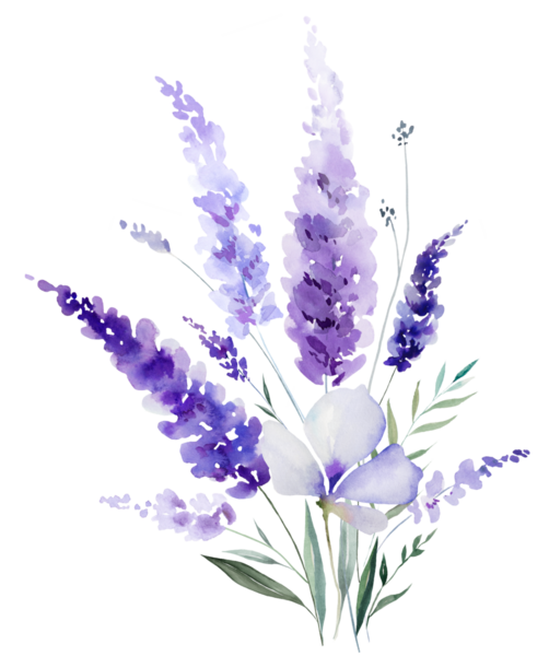 El boyasıyla boyanmış suluboya açık mor lavanta çiçekleri ve yapraklardan yapılmış bir buket. Romantik, izole bir illüstrasyon. Bahar ve yaz için küçük kır çiçekleri ve parti tasarımı.