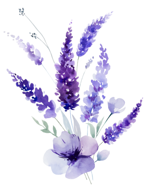 El boyasıyla boyanmış suluboya açık mor lavanta çiçekleri ve yapraklardan yapılmış bir buket. Romantik, izole bir illüstrasyon. Bahar ve yaz için küçük kır çiçekleri ve parti tasarımı.