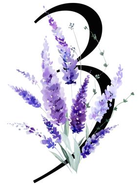 63 numaralı suluboya mor lavanta çiçekli ve yapraklı siyah, monogram izole bir illüstrasyon. Bahar ve yaz için çiçek, romantik bahçe, düğün kırtasiye ve parti tasarımı.