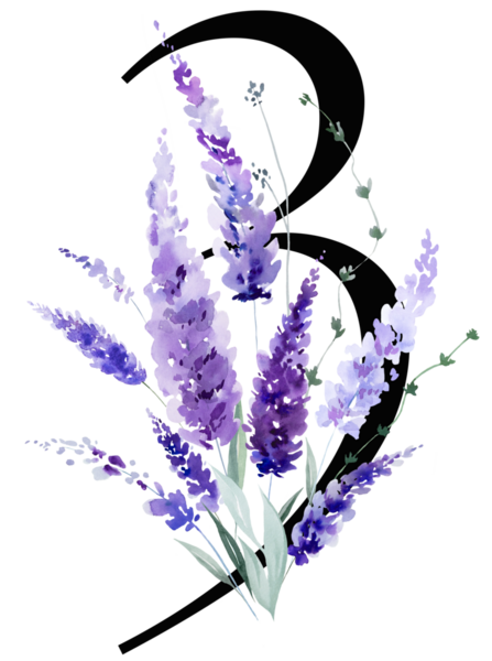 63 numaralı suluboya mor lavanta çiçekli ve yapraklı siyah, monogram izole bir illüstrasyon. Bahar ve yaz için çiçek, romantik bahçe, düğün kırtasiye ve parti tasarımı.