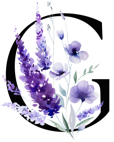 Siyah G harfi mor lavanta çiçekleri ve yapraklarıyla monogram izole edilmiş. Bahar ve yaz için çiçek alfabesi. Romantik bahçe kırtasiyesi ve parti tasarımı.