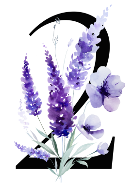 2 numaralı suluboya mor lavanta çiçekli ve yapraklı siyah, monogram izole bir illüstrasyon. Bahar ve yaz için çiçek, romantik bahçe, düğün kırtasiye ve parti tasarımı.