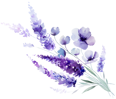 El boyasıyla boyanmış suluboya açık mor lavanta çiçekleri ve yapraklardan yapılmış bir buket. Romantik, izole bir illüstrasyon. Bahar ve yaz için küçük kır çiçekleri ve parti tasarımı.
