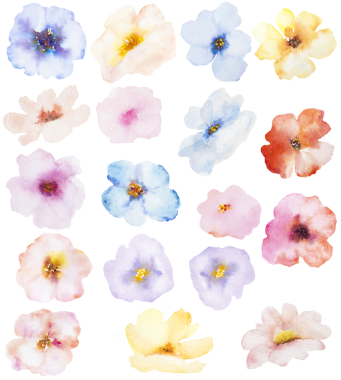 Açık renk sarı, pembe, açık mavi ve lavanta rengi yaban çiçeği izole edilmiş. Bahçe çiçekleri yaz ve sonbahar düğün kırtasiyesi ve tebrik kartları, parti arzulu