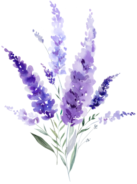 El boyasıyla boyanmış suluboya açık mor lavanta çiçekleri ve yapraklardan yapılmış bir buket. Romantik, izole bir illüstrasyon. Bahar ve yaz için küçük kır çiçekleri ve parti tasarımı.