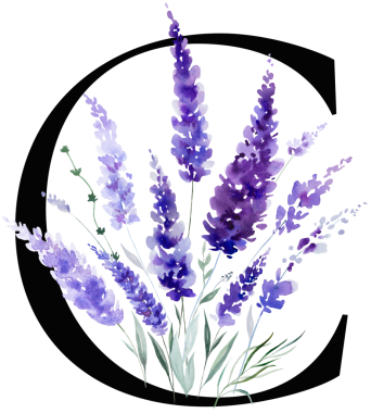 Siyah C harfi mor lavanta çiçekleri ve yapraklarıyla monogram izole edilmiş. Bahar ve yaz için çiçek alfabesi. Romantik bahçe kırtasiyesi ve parti tasarımı.