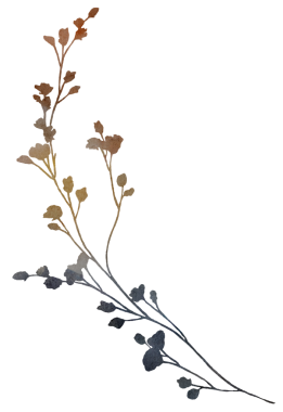 Suluboya boho sonbahar yuvarlak çerçeve kuru yapraklar, çimenler, tohumlar ve kır çiçekleri toprak tonlarda - bej, kahverengi, gri, sessiz pembe, düğün davetiyeleri ve parti tasarımı için izole edilmiş