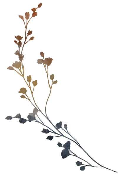 Suluboya boho sonbahar yuvarlak çerçeve kuru yapraklar, çimenler, tohumlar ve kır çiçekleri toprak tonlarda - bej, kahverengi, gri, sessiz pembe, düğün davetiyeleri ve parti tasarımı için izole edilmiş