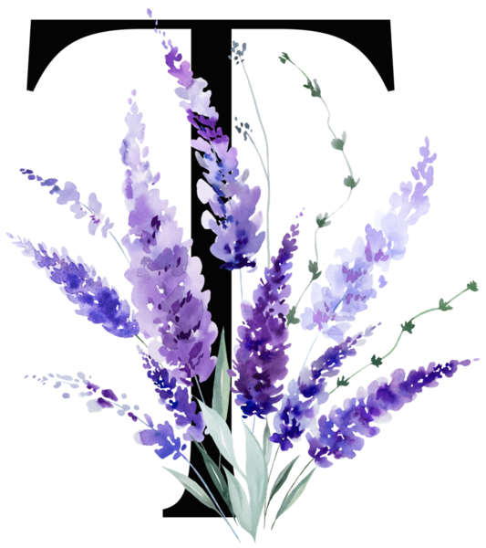 Üzerinde mor lavanta çiçekleri ve yaprakları olan siyah T harfi, monogram izole bir illüstrasyon. Bahar ve yaz için çiçek alfabesi. Romantik bahçe kırtasiyesi ve parti tasarımı.