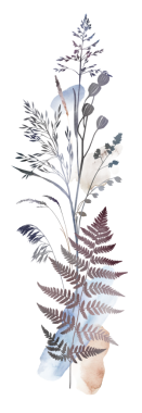 Kurumuş yapraklar, çimenler, tohumlar ve kır çiçeklerinden yapılmış suluboya boho sonbahar buketi - bej, kahverengi, gri, sessiz pembe, düğün davetiyeleri ve parti tasarımı için izole edilmiş çizimler