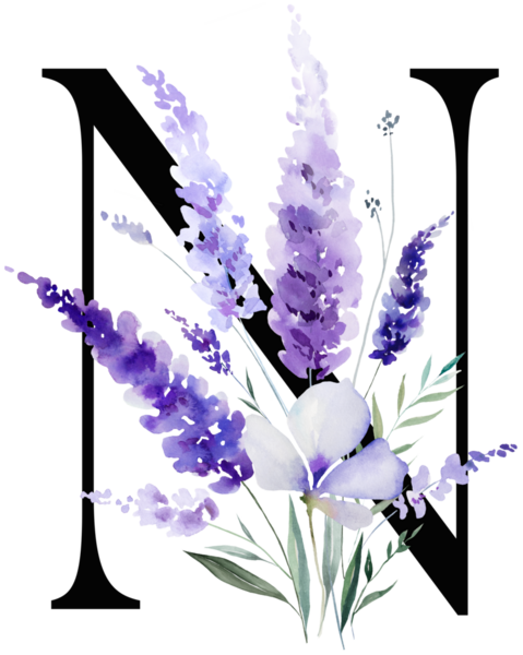 Siyah N harfi mor lavanta çiçekleri ve yapraklarıyla monogram izole edilmiş. Bahar ve yaz için çiçek alfabesi. Romantik bahçe kırtasiyesi ve parti tasarımı.
