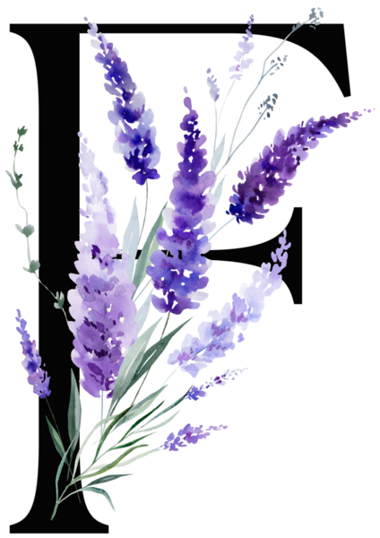 Mor lavanta çiçekleri ve yaprakları olan siyah F harfi, monogram izole illüstrasyon. Bahar ve yaz için çiçek alfabesi. Romantik bahçe kırtasiyesi ve parti tasarımı.