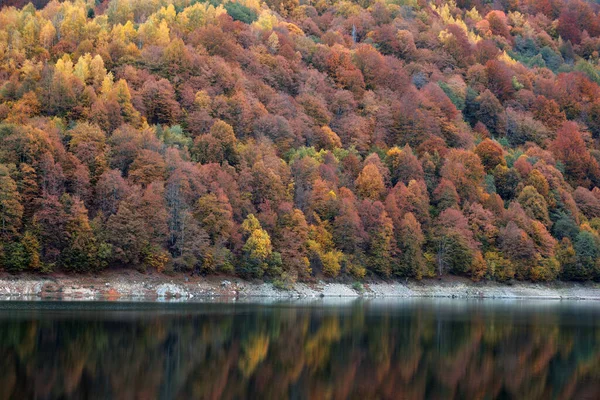 Jesienny Krajobraz Odbicie Lasu Jeziorze — Zdjęcie stockowe