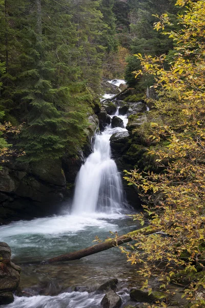 Cachoeira Que Flui Através Rochas Uma Floresta Profunda Paisagem Outono — Fotografia de Stock