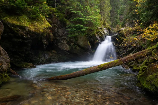 Cascata Che Scorre Tra Rocce Una Foresta Profonda Paesaggio Autunnale — Foto Stock
