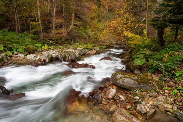 Horská Řeka Tekoucí Hlubokém Lese — Stock fotografie