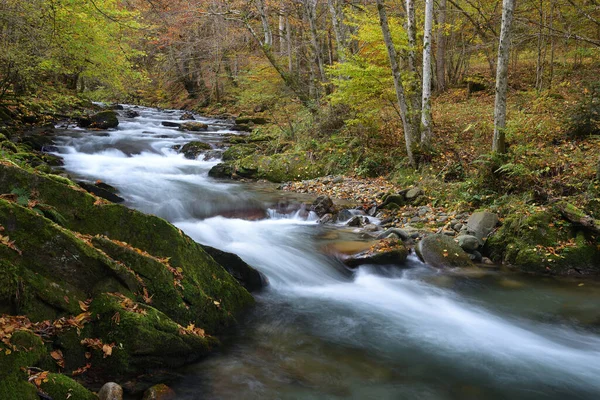 深い森の中の岩を流れる滝 秋の風景 ロイヤリティフリーのストック画像