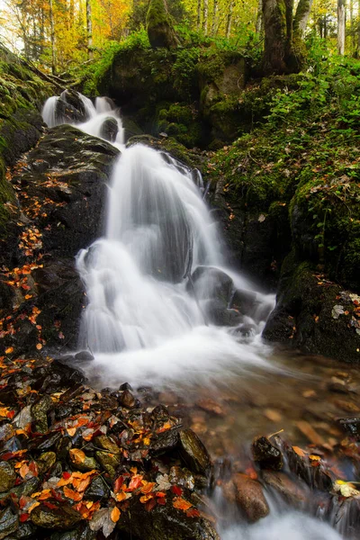 深い森の中の岩を流れる滝 秋の風景 ストックフォト