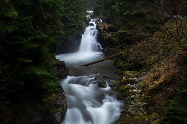 深い森の中の岩を流れる水の滝 ロイヤリティフリーのストック画像