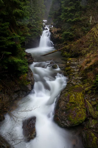 深い森の中の岩を流れる水の滝 ストック写真