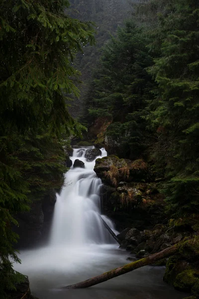 深い森の中の岩を流れる水の滝 ロイヤリティフリーのストック写真