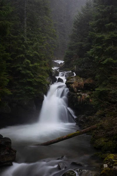 深い森の中の岩を流れる水の滝 ストック画像