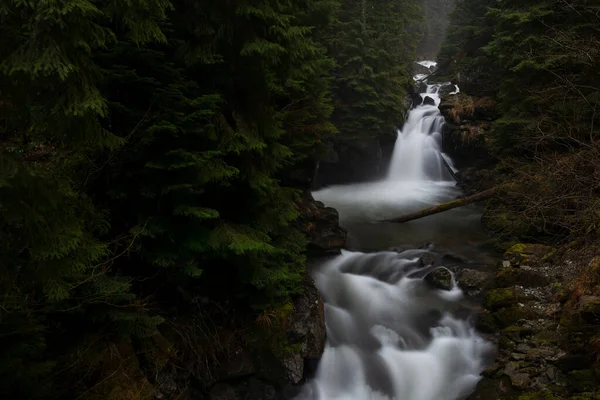 深い森の中の岩を流れる水の滝 ロイヤリティフリーのストック写真
