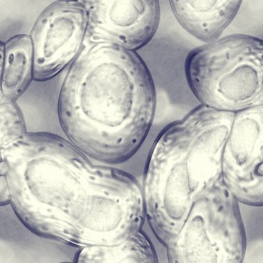 Mikroskop altında virüsün soyut hücresi veya patojenik bakteri, biyofilm illüstrasyonu.