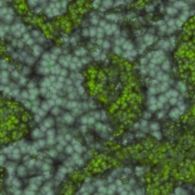 Mikroskop altında virüsün soyut hücresi veya patojenik bakteri, biyofilm illüstrasyonu.