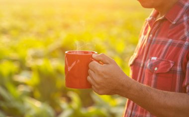 Asian farmer standing in the tobacco field at morning time,  and holding red coffee cup. Dringking coffee and agriculture concept.
