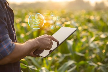 Asyalı çiftçi mısır tarlasında dijital tablet kullanıyor akıllı tarım arayüzü ikonları ve günbatımı efektiyle ekilmiş tarlada. Tarım sektörü konsepti için akıllı ve yeni teknoloji.