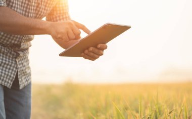 Asian farmer working in the rice field. Man using using digital tablet to examining, planning or analyze on rice plant after planting. Agriculture business concept