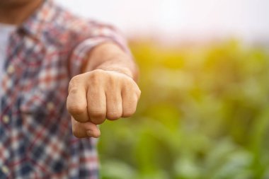 Fighting Farmer. Asian farmer working in the field of tobacco tree and raising his success fist happily with feeling very good while working. Happiness for agriculture business concept.