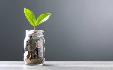 Ortasında büyüyen küçük bir tohum bulunan bozuk paralarla dolu cam kavanoz koyu gri bir arka fona karşı bir masanın üzerine yerleştirildi. Görüntü, gelecek için tasarruf ve mali büyüme kavramını temsil ediyor.