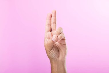 El, bir yumruk, açık avuç içi ve pembe arka plana karşı kaldırılmış parmaklar gibi çeşitli jestler sergiler. El sembolleri aracılığıyla iletişimin görsel keşfi