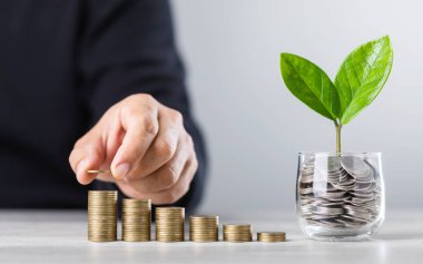 Bir işadamı, yanında filizlenen bir bitki bulunan bozuk para kavanozuyla en küçüklerden en büyüğe bozuk paralar düzenliyor. '2025' yazılı tahta bloklar mali büyüme ve gelecek planlamasını temsil ediyor