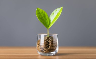 Ortasında büyüyen küçük bir tohum bulunan bozuk paralarla dolu cam kavanoz koyu gri bir arka fona karşı bir masanın üzerine yerleştirildi. Görüntü, gelecek için tasarruf ve mali büyüme kavramını temsil ediyor.