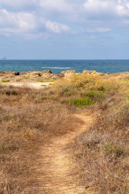 Yazın sonlarında Dor Beach Ulusal Parkı. Akdeniz boyunca güzel bir manzara.. 