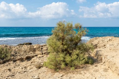 Yazın sonlarında Dor Beach Ulusal Parkı. Akdeniz boyunca güzel bir manzara.. 