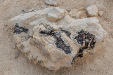 Ein Avdat, İsrail 'in güneyindeki Negev Çölü' nde üzerinde siyah kahverengi çakmaktaşı parçaları olan büyük bir Eocene beyaz kireç taşı..