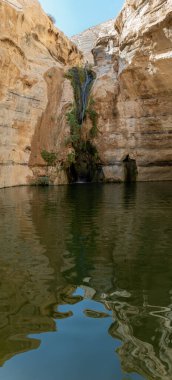 Ein Avdat, İsrail 'in güneyinde akarsu ve şelalesi olan güzel bir kanyon. Sudaki yansımalar.