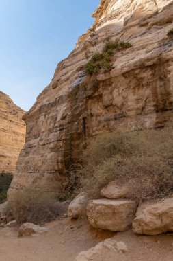 Ein Avdat güzel bir kanyon, içinden akarsu akıyor ve İsrail 'in güneyinde şelale var.. 