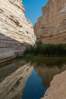 Ein Avdat, İsrail 'in güneyinde akarsu ve şelalesi olan güzel bir kanyon. Sudaki yansımalar.