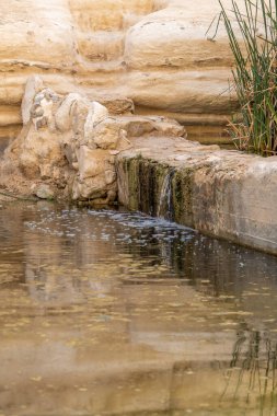 Ein Avdat, İsrail 'in güneyinde akarsu ve şelalesi olan güzel bir kanyon. Sudaki yansımalar.
