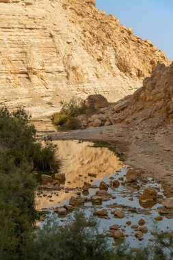 Ein Avdat, İsrail 'in güneyinde akarsu ve şelalesi olan güzel bir kanyon. Sudaki yansımalar.
