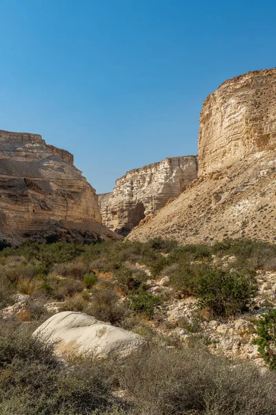 Айн Авдат Чудовий Каньйон Півдні Ізраїлю — стокове фото
