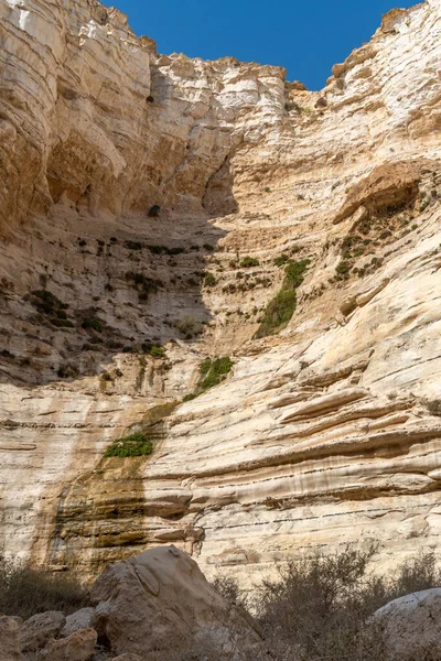 Ein Avdat güzel bir kanyon, içinden akarsu akıyor ve İsrail 'in güneyinde şelale var.. 
